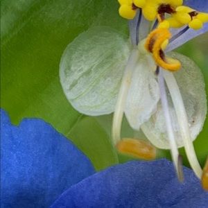 Meet your Posher, Denice